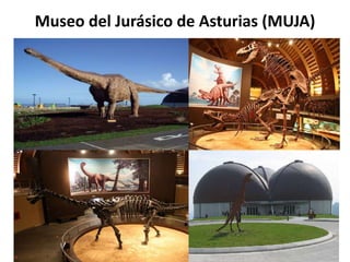 Museo del Jurásico de Asturias (MUJA)
 