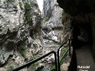 Ruta del Cares 