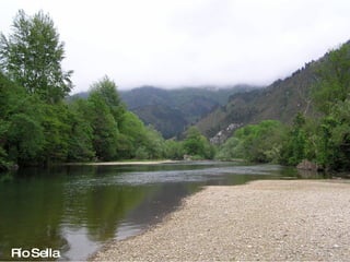 Río Sella 