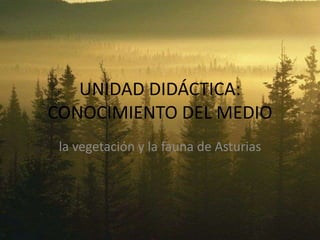 UNIDAD DIDÁCTICA:
CONOCIMIENTO DEL MEDIO
la vegetación y la fauna de Asturias
 