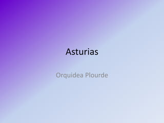 Asturias OrquideaPlourde 