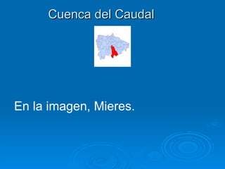 Cuenca del Caudal




En la imagen, Mieres.
 