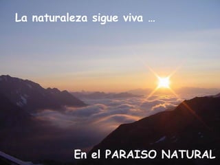 La naturaleza sigue viva … En el PARAISO NATURAL 