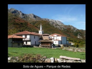 Soto de Agues – Parque de Redes 