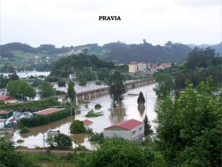 PRAVIA 