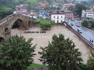 CANGAS DE ONÍS 