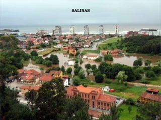 SALINAS 