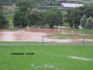 VIESQUES – GIJÓN  