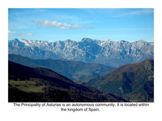 The Principality of Asturias is an autonomous community. It is located within 
                            the kingdom of Spain. 
 