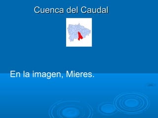 Cuenca del Caudal




En la imagen, Mieres.
 