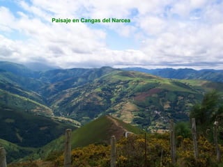 Paisaje en Cangas del Narcea
 