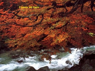 Fuentes del Navia
 