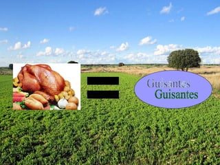 Guisantes 