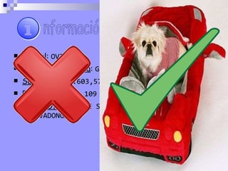 Capital :  OVIEDO Ciudad más poblada :  GIJÓN Superficie :  10.603,57 KM 2   Población :  1.084.109 HAB.   Fiesta Oficial :  8 DE SEPTIEMBRE (DÍA DE ASTURIAS Y COVADONGA) nformación 