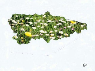 Asturias  en  primavera Gs 