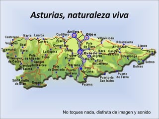 Asturias, naturaleza viva No toques nada, disfruta de imagen y sonido 