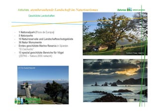 Geschützte Landschaften
Valle de Peña Furada, Parque Natural de Somiedo
- 1 Nationalpark (Picos de Europa)
- 5 Naturparks
- 10 Naturreservate und Landschaftsschutzgebiete
- 39 Natur Monumente
- Erstes geschützte Marine Reserva in Spanien
“El Cachucho”
- 13 spezial geschützte Bereiche für Vögel
(ZEPAS – Natura 2000 network)
Eiche in Tineo, Valentín
El Fito Aussichtspunkt
Cudillero – westliche Küstenlinie
Asturias, atemberaubende Landschaft im Naturtourismus
 