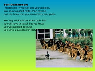 The Power of A Success Mindset | PPT