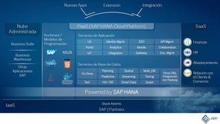 La SAP Hana Cloud Platform es una PaaS
 