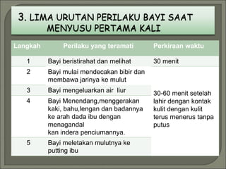 Langkah Perilaku yang teramati Perkiraan waktu
1 Bayi beristirahat dan melihat 30 menit
2 Bayi mulai mendecakan bibir dan
membawa jarinya ke mulut
30-60 menit setelah
lahir dengan kontak
kulit dengan kulit
terus menerus tanpa
putus
3 Bayi mengeluarkan air liur
4 Bayi Menendang,menggerakan
kaki, bahu,lengan dan badannya
ke arah dada ibu dengan
menagandal
kan indera penciumannya.
5 Bayi meletakan mulutnya ke
putting ibu
 