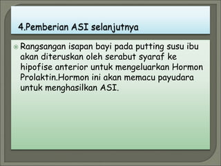  Rangsangan isapan bayi pada putting susu ibu
akan diteruskan oleh serabut syaraf ke
hipofise anterior untuk mengeluarkan Hormon
Prolaktin.Hormon ini akan memacu payudara
untuk menghasilkan ASI.
 