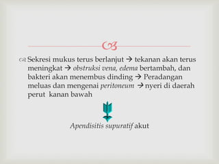 
 Sekresi mukus terus berlanjut  tekanan akan terus
meningkat  obstruksi vena, edema bertambah, dan
bakteri akan menembus dinding  Peradangan
meluas dan mengenai peritoneum  nyeri di daerah
perut kanan bawah
Apendisitis supuratif akut
 
