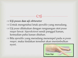 
 Uji psoas dan uji obturator
 Untuk mengetahui letak apendiks yang meradang.
 Uji psoas dilakukan dengan rangsangan otot psoas
mayor lewat hiperekstensi sendi panggul kanan,
kemudian paha kanan ditahan.
 Bila apendiks yang meradang menempel pada m.psoas
mayor, maka tindakan tersebut akan menimbulkan
nyeri.
 