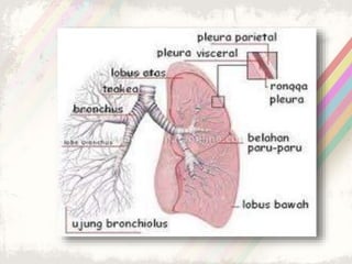 Asuhan Keperawatan pada Pasien Tuberkulosis Paru dan Efusi Pleura