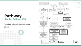 Pathway Vsd Ventricular septal defect (VSD) adalah kelainan jantung | PPTX