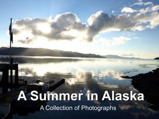 A Summer in Alaska A Collection of Photographs 