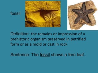 fossil



Definition: the remains or impression of a
prehistoric organism preserved in petrified
form or as a mold or cast in rock

Sentence: The fossil shows a fern leaf.
 