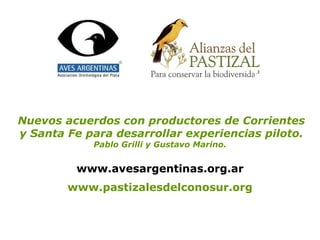 www.pastizalesdelconosur.org Nuevos acuerdos con productores de Corrientes y Santa Fe para desarrollar experiencias piloto. Pablo Grilli y Gustavo Marino.  www.avesargentinas.org.ar www.avesargentinas.org.ar 