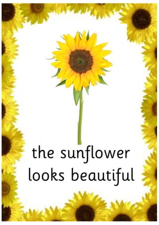 the sunflower
looks beautiful
 