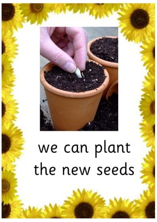 we can plant
the new seeds
 