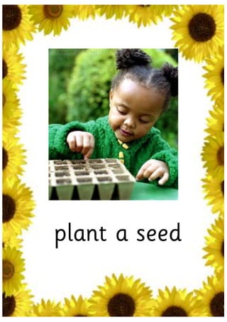 plant a seed
 