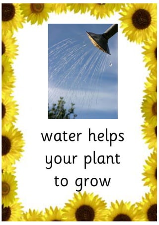 water helps
your plant
 to grow
 