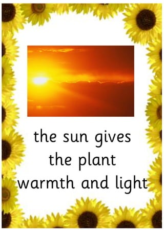the sun gives
   the plant
warmth and light
 