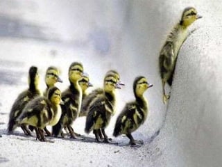 David Vasquez - ¿Puede USTED ser un líder?