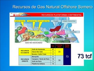 Recursos de Gas Natural Offshore Somero 73 tcf 