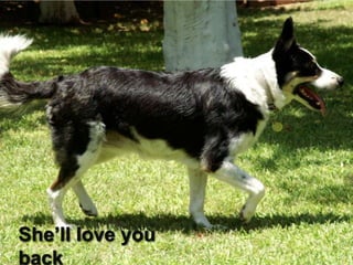 She’ll love you
                  35
back
 