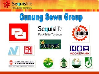 Gunung Sewu Group 