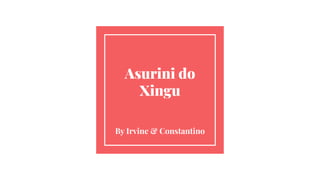 Asurini do
Xingu
By Irvine & Constantino
 