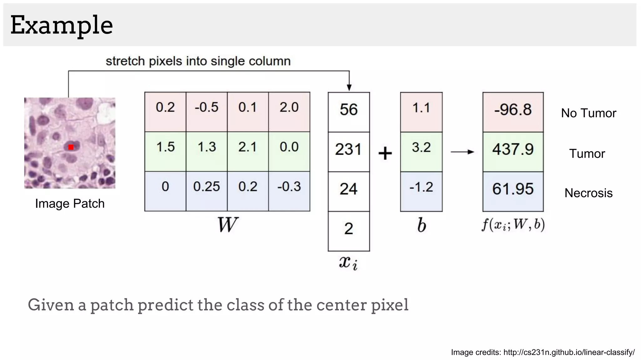 Example
Given a patch predict the class of the center pixel
Image credits: http://cs231n.github.io/linear-classify/
Tumor
No Tumor
Necrosis
Image Patch
 