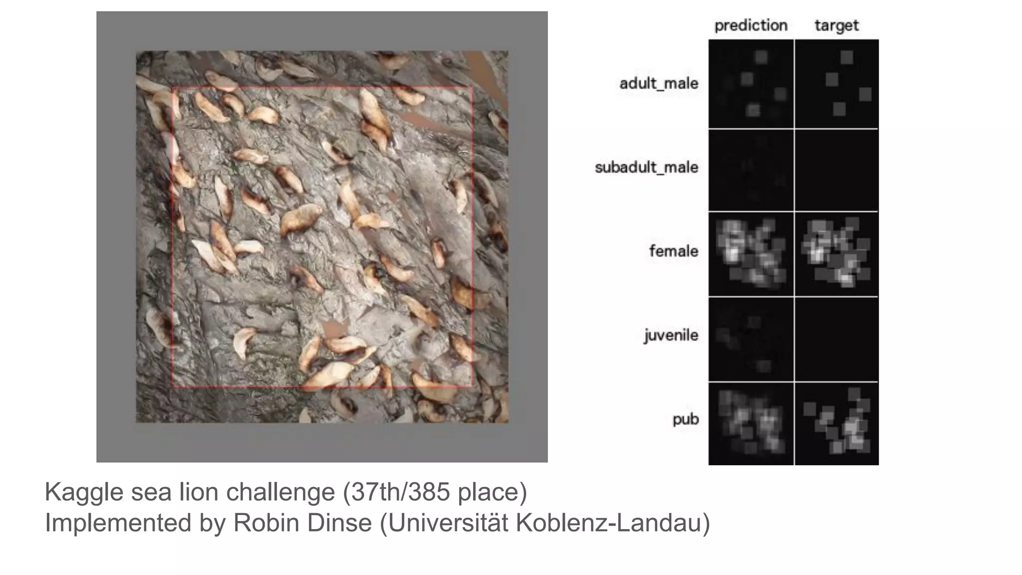Kaggle sea lion challenge (37th/385 place)
Implemented by Robin Dinse (Universität Koblenz-Landau)
 