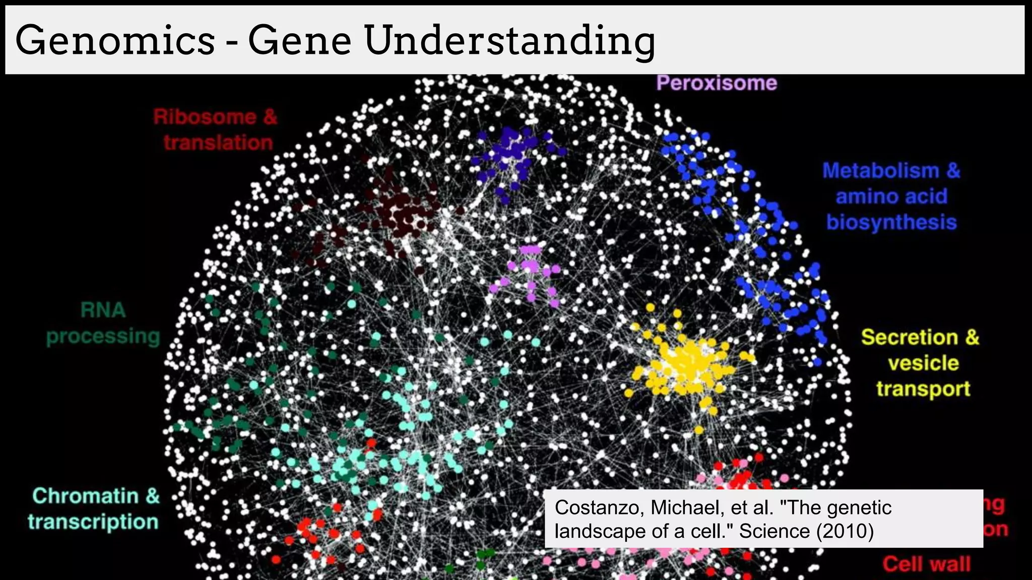 Genomics - Gene Understanding
Costanzo, Michael, et al. "The genetic
landscape of a cell." Science (2010)
 