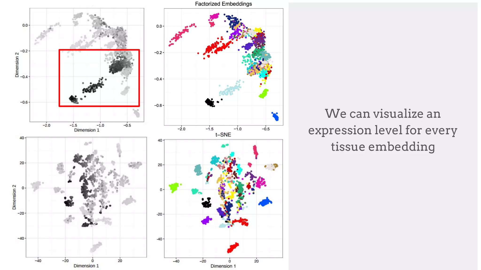 MYH6
"Muscle contraction"
[uniprot.org]
We can visualize an
expression level for every
tissue embedding
 