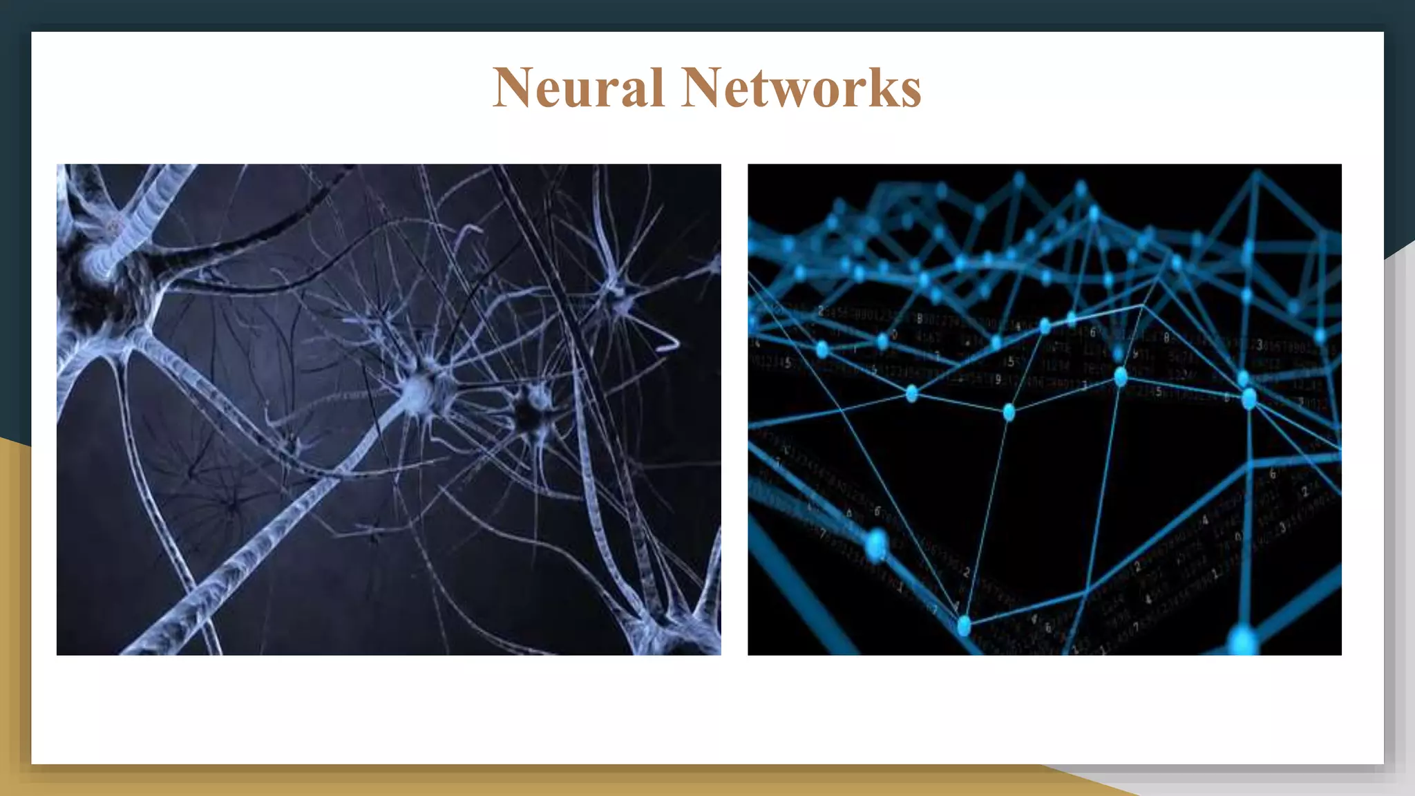 Neural Networks
