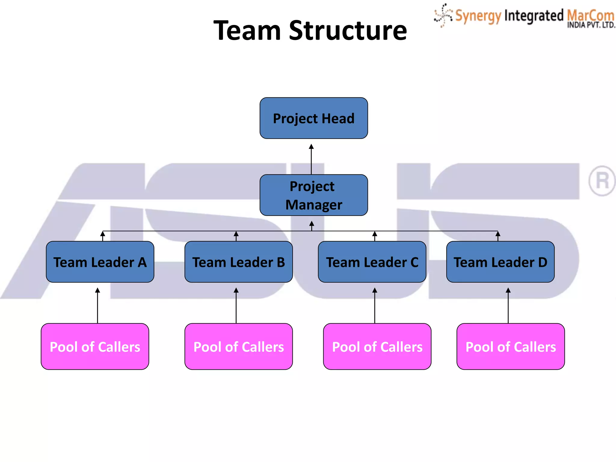 Project
Manager
Team Leader A Team Leader B Team Leader C Team Leader D
Project Head
Pool of CallersPool of Callers Pool of CallersPool of Callers
Team Structure
 