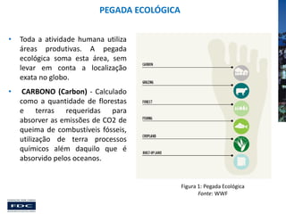 PEGADA ECOLÓGICA
•

Toda a atividade humana utiliza
áreas produtivas. A pegada
ecológica soma esta área, sem
levar em conta a localização
exata no globo.

•

CARBONO (Carbon) - Calculado
como a quantidade de florestas
e terras requeridas para
absorver as emissões de CO2 de
queima de combustíveis fósseis,
utilização de terra processos
químicos além daquilo que é
absorvido pelos oceanos.

Figura 1: Pegada Ecológica
Fonte: WWF

 