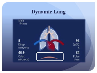 Dynamic Lung
 